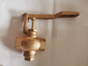 Bronze self - closing cleaning valve