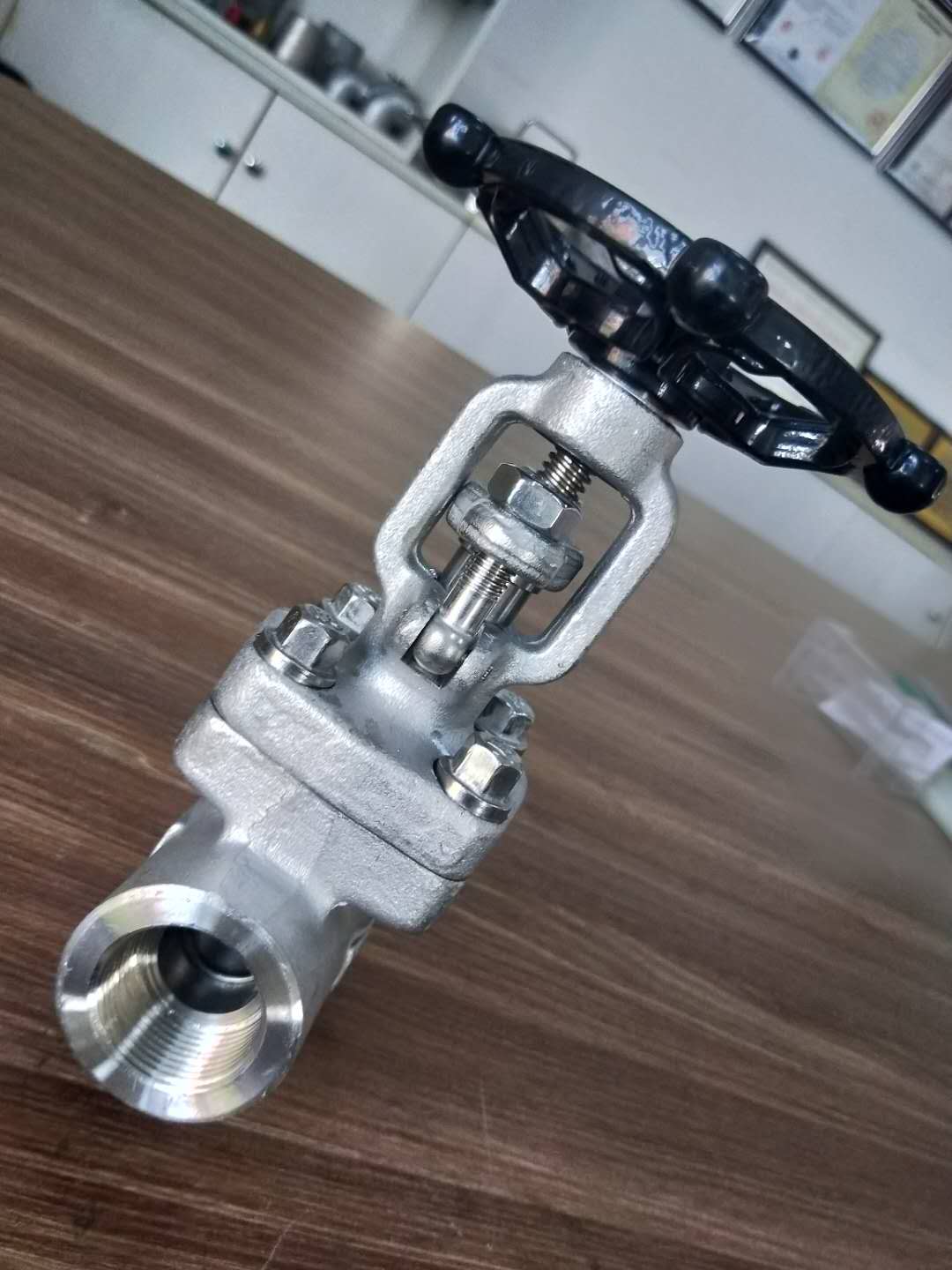 Forged Stainless Steel 800LB Gate Valve